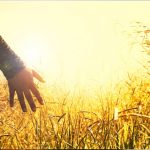 pastoral-006
